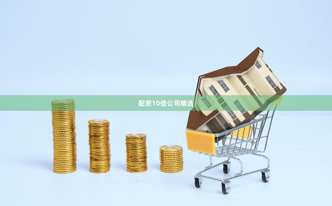 配资10倍公司精选