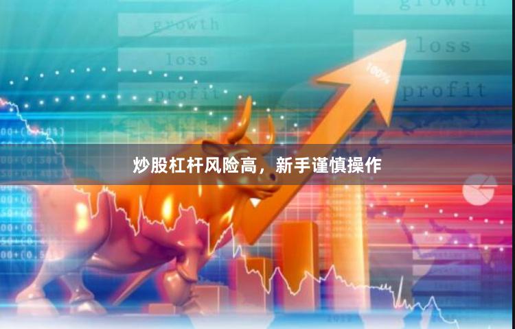 炒股杠杆风险高，新手谨慎操作
